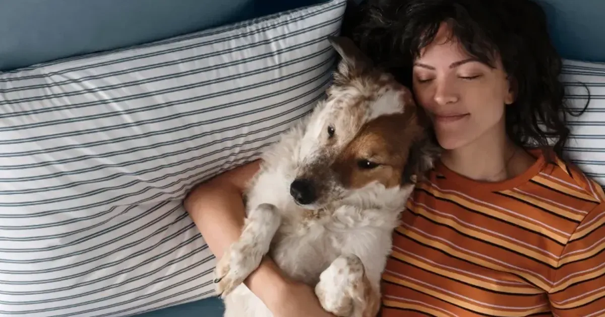 Person and dog resting on striped Brooklinen sheets