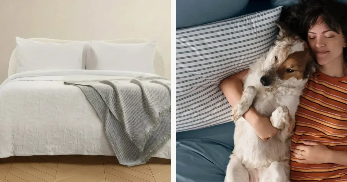 Comforter systems and sheet bundles from official home storefronts