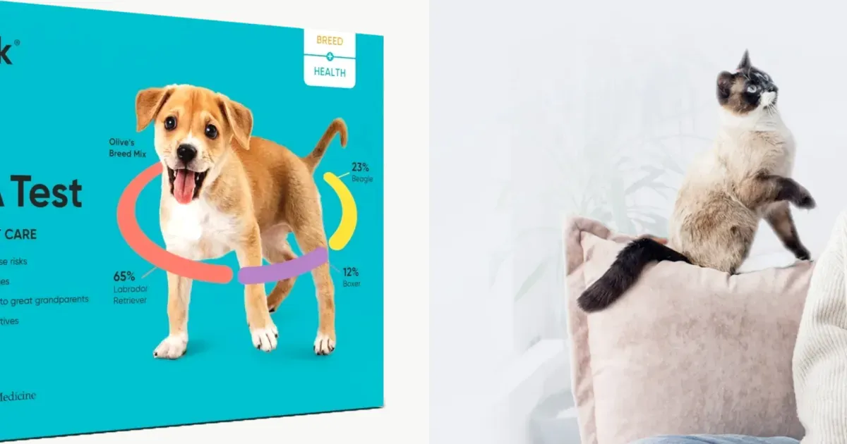 Pet DNA test kits from official pet storefronts
