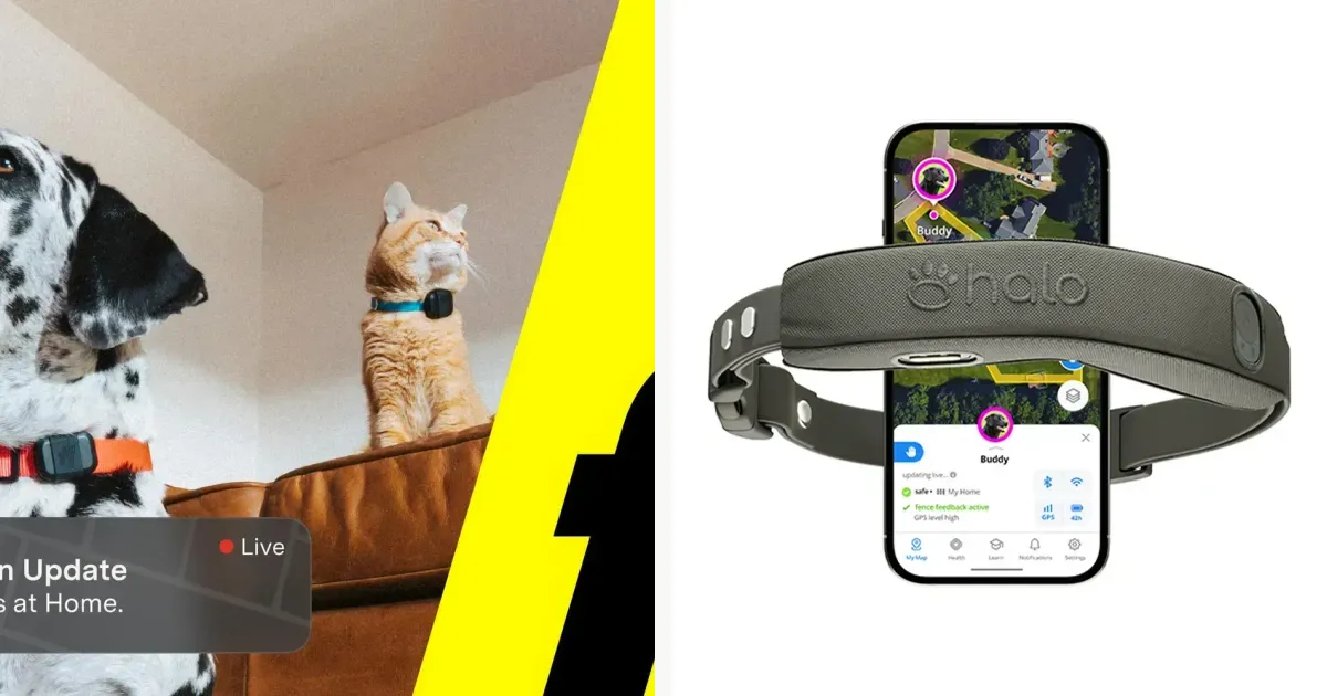GPS dog trackers and fence collars from official pet storefronts