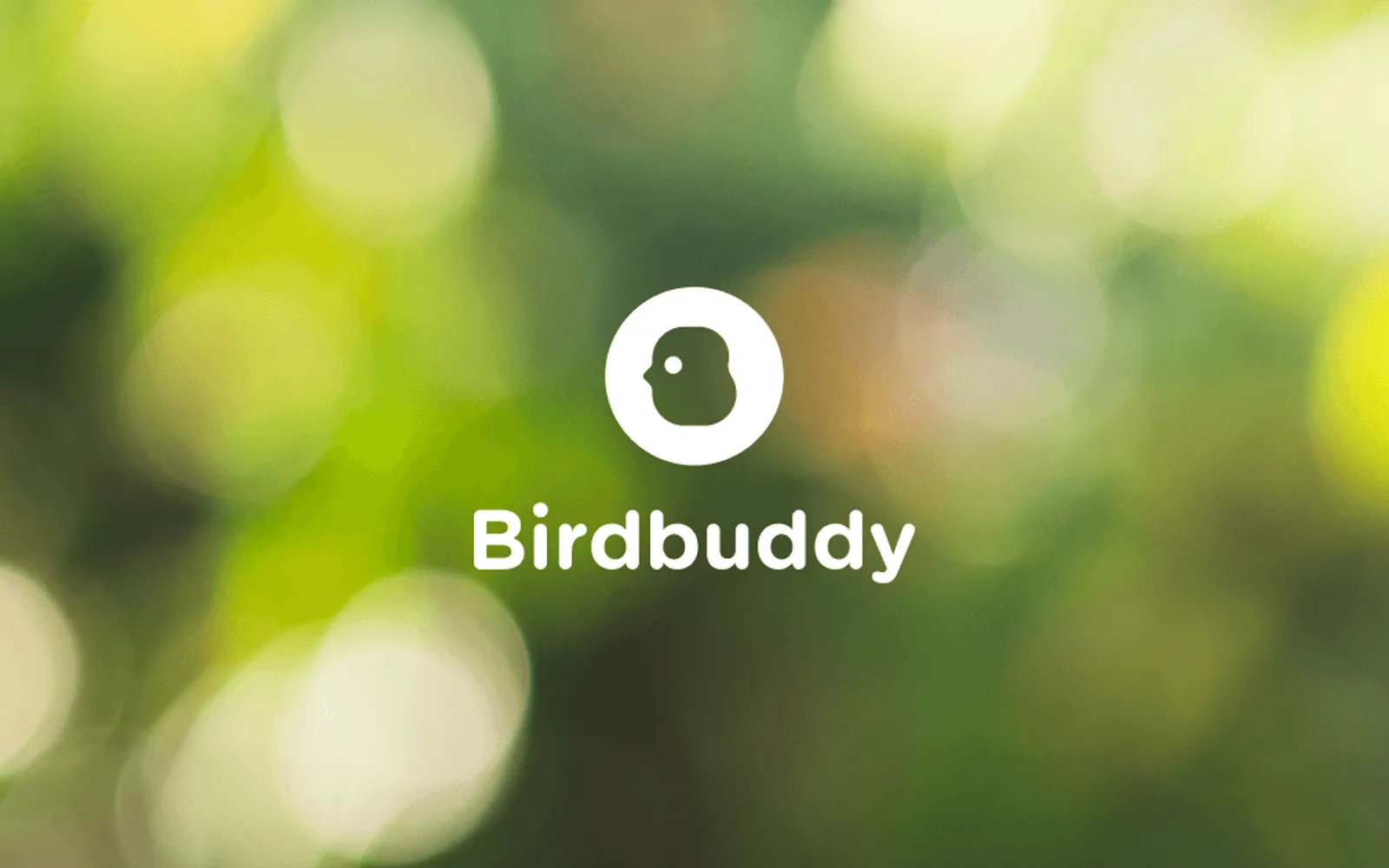 Bird Buddy Pets store cover