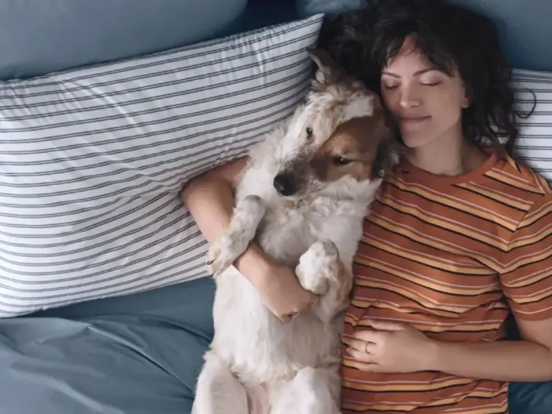 Brooklinen Home store cover