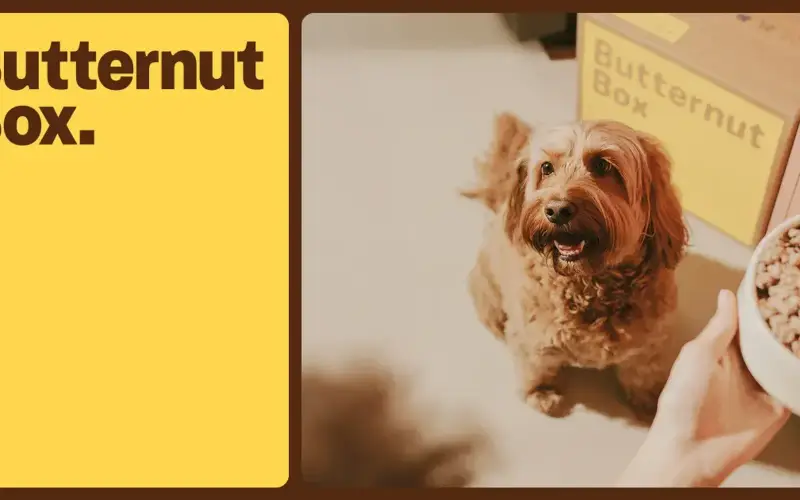 Butternut Box Pets store cover