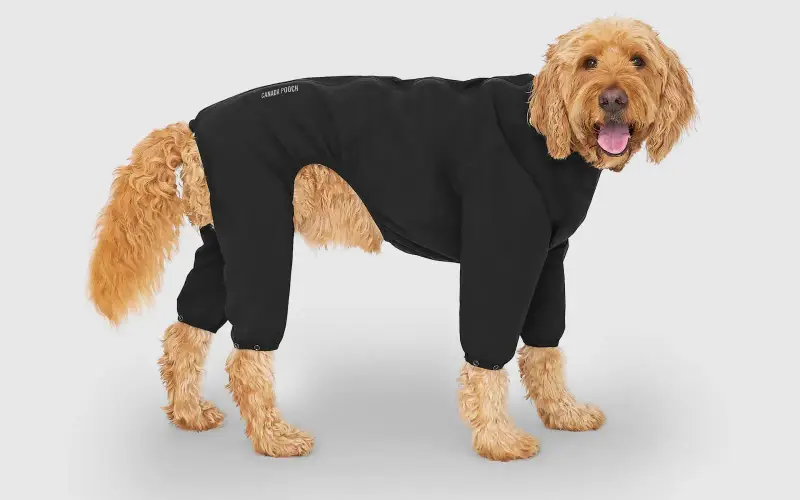 Canada Pooch Pets store cover
