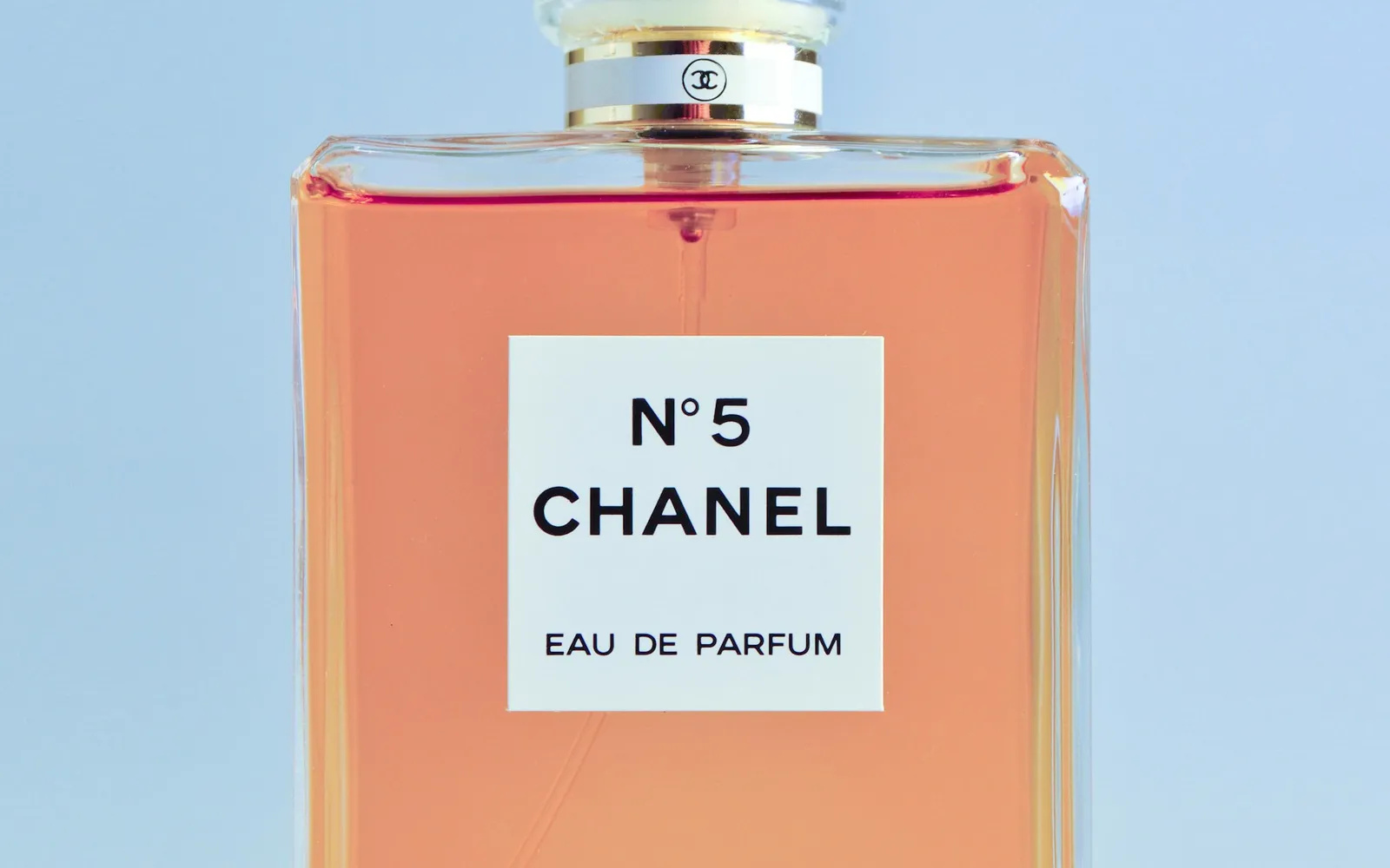 Chanel Fashion store cover