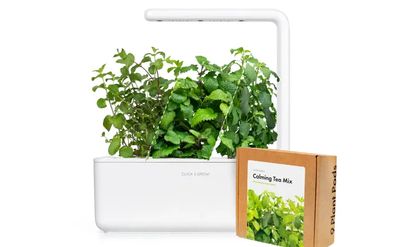 Click & Grow Home store cover