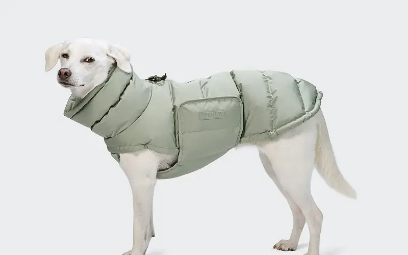 Cloud7 Pets store cover