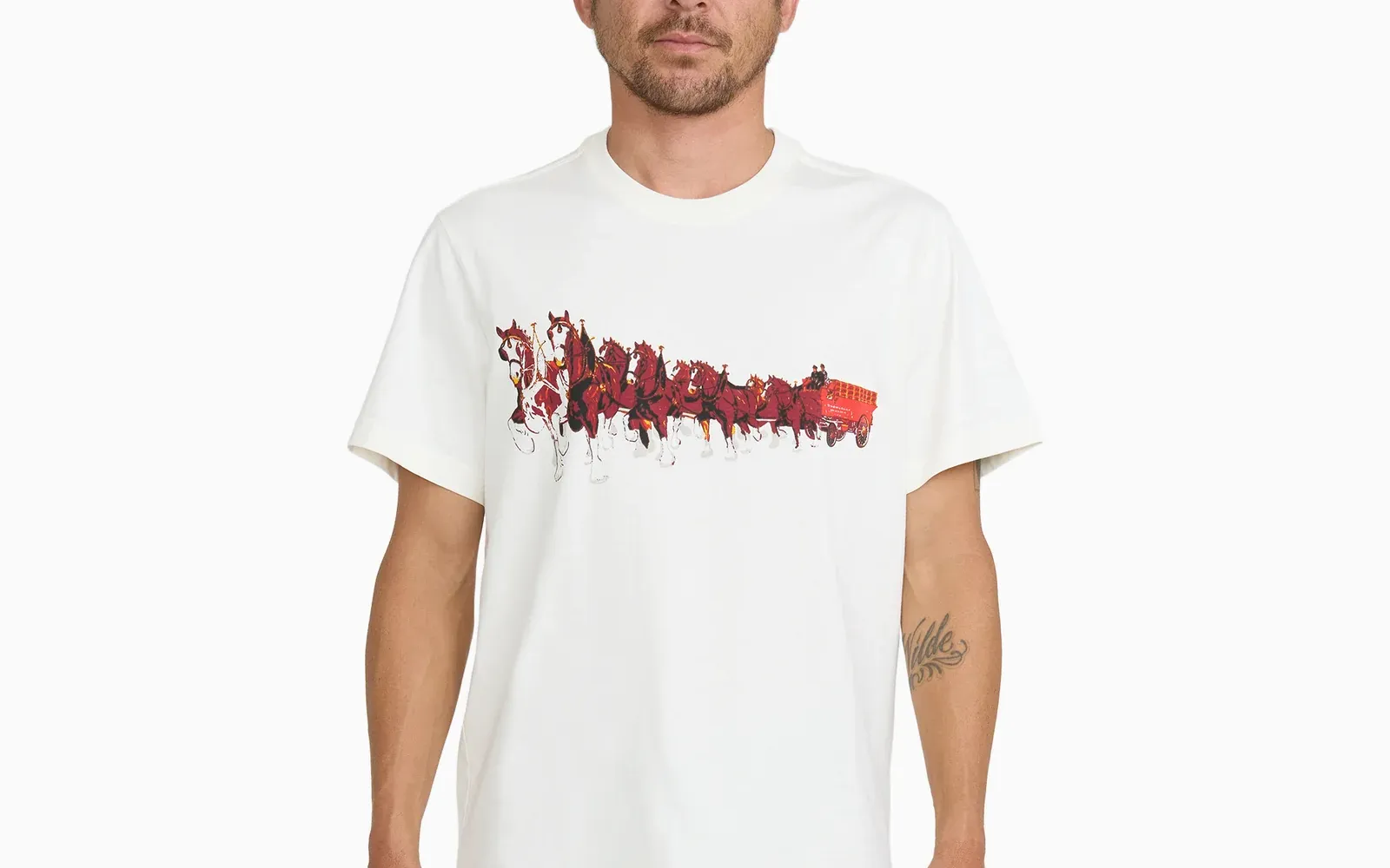 Dickies Fashion store cover