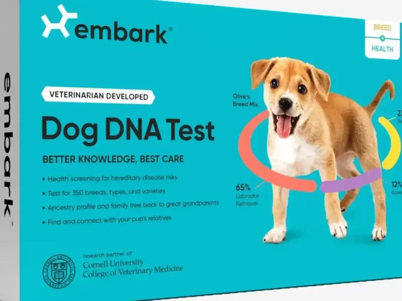 Embark Vet Pets store cover