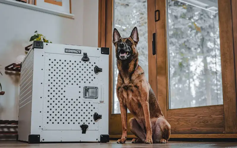 Impact Dog Crates Pets store cover