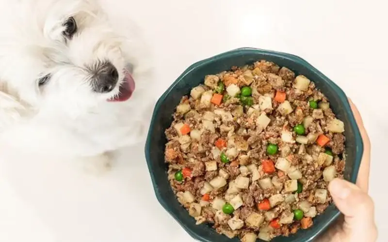 JustFoodForDogs Pets store cover
