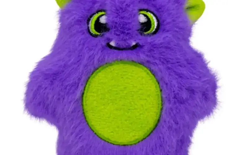 KONG Pets store cover