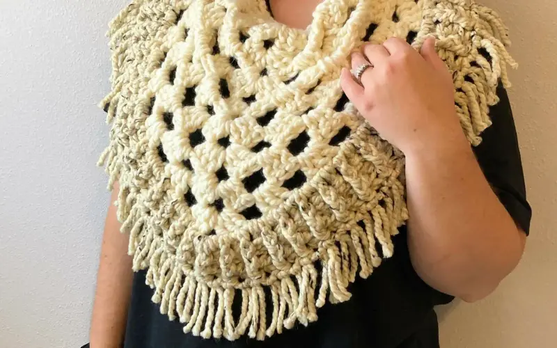 Lion Brand Yarn Art & Craft store cover