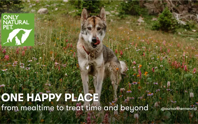Only Natural Pet Pets store cover
