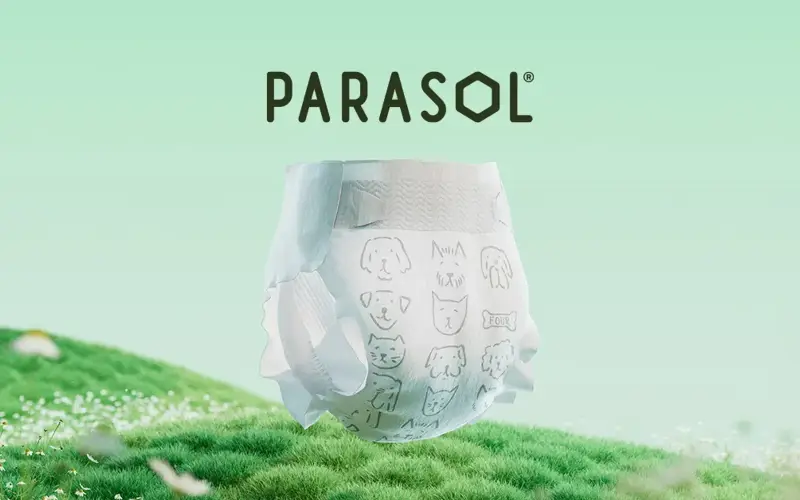 Parasol Kids store cover