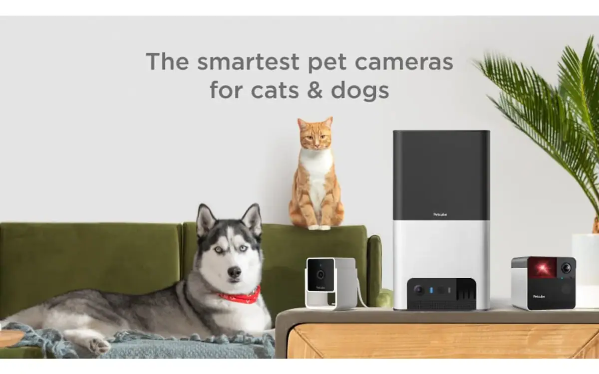 Petcube Pets store cover