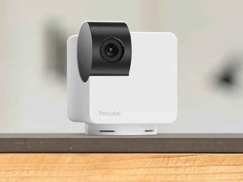 Petcube Pets store cover