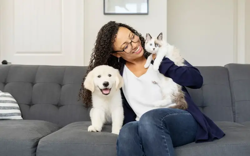 PetSafe Pets store cover