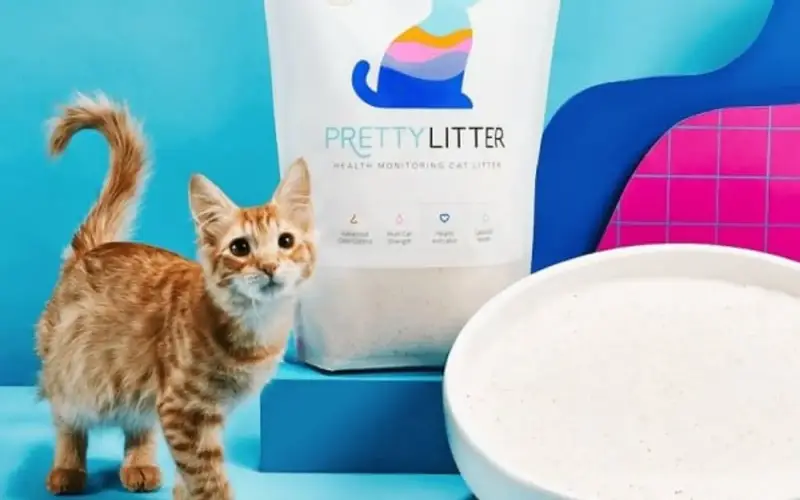 PrettyLitter Pets store cover
