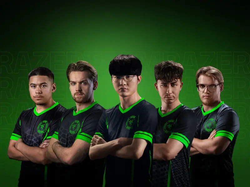 Razer Electronics store cover