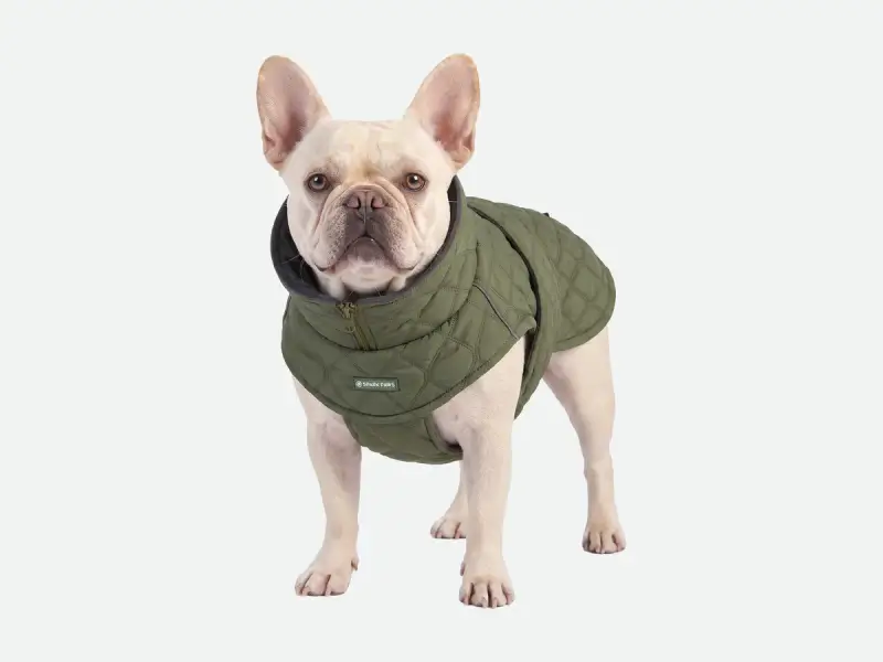 SparkPaws Pets store cover