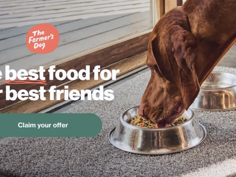 The Farmer's Dog Pets store cover