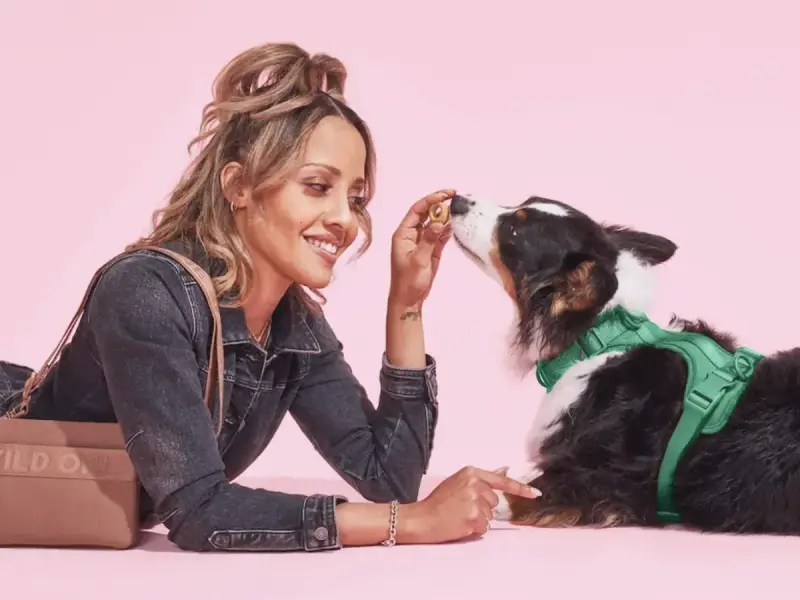 Wild One Pets store cover