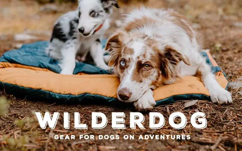 Wilderdog Pets store cover